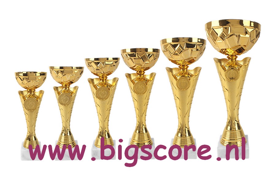 AK6001 Beker Goud